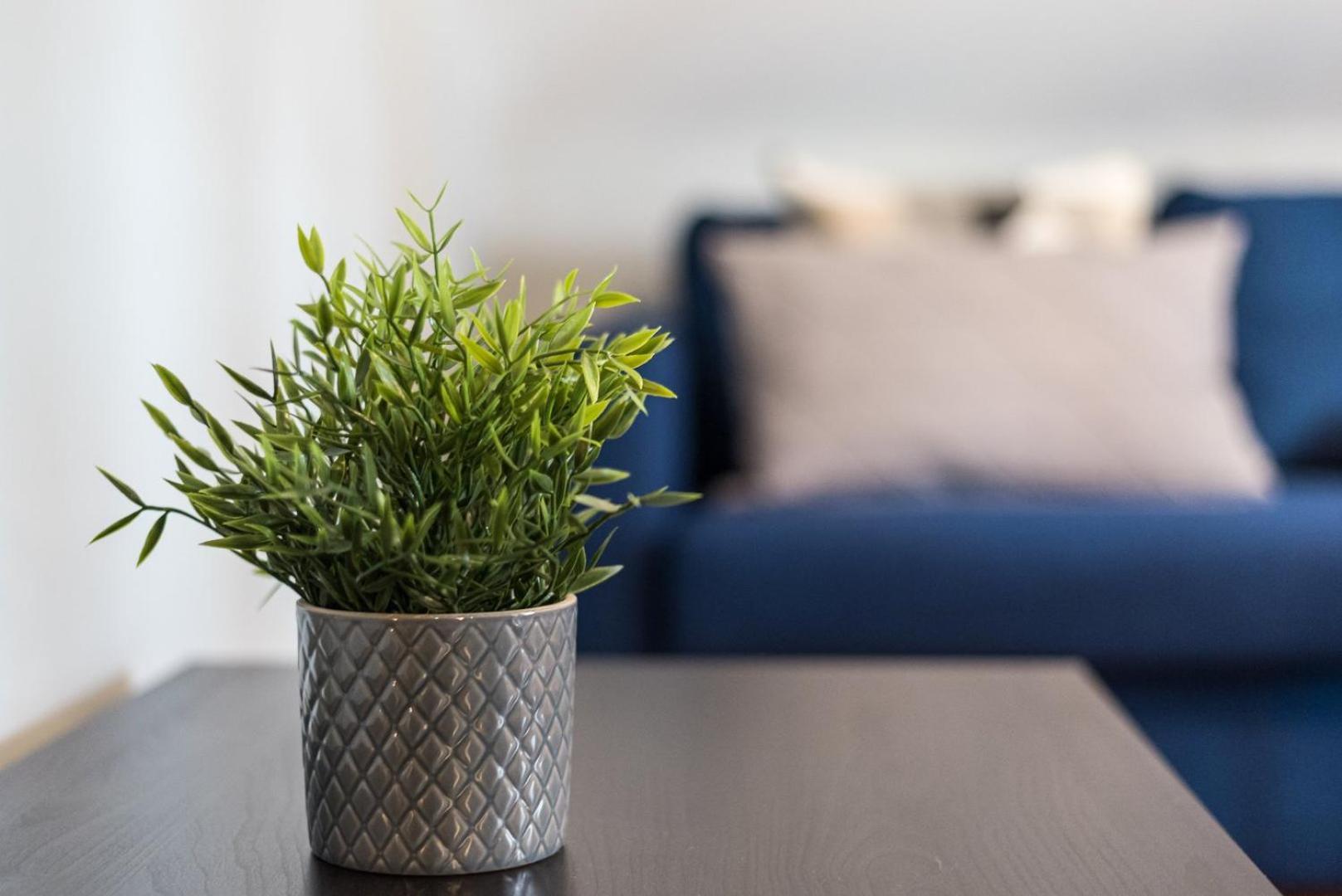 Guestready - Miragaia Rooftop Porto Ngoại thất bức ảnh